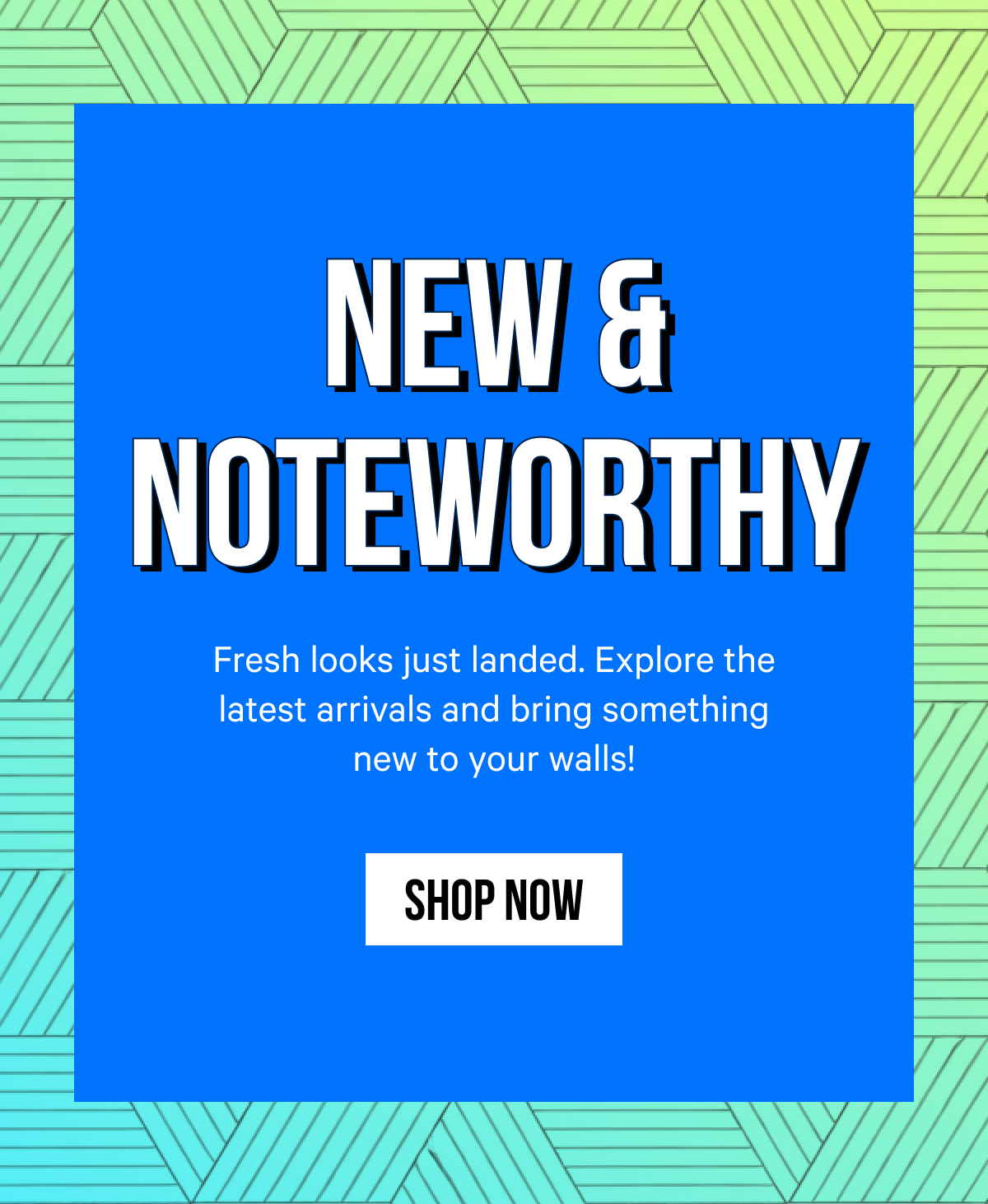 New & Noteworthy: Fresh looks just landed. Explore the latest arrivals and bring something new to your walls! 
