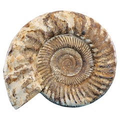 Item 8