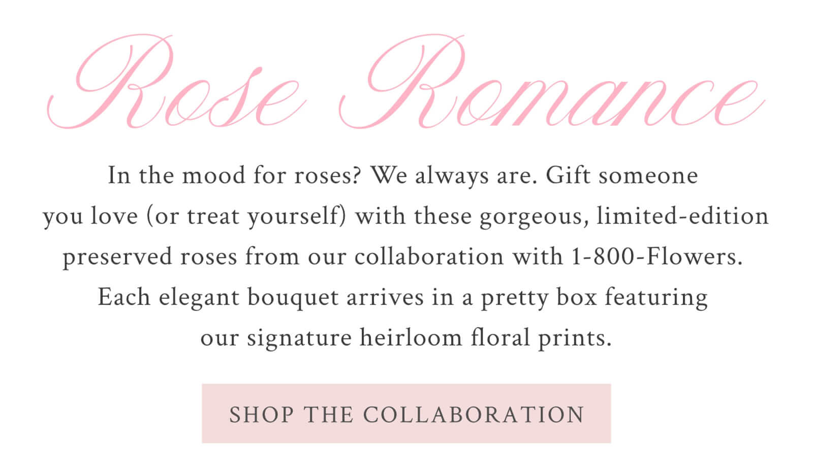 Rose Romance In the mood for roses? We always are. Gift someone you love (or treat yourself) with these gorgeous, limited-edition preserved roses from our collaboration with 1-800-Flowers. Each elegant bouquet arrives in a pretty box featuring our signature heirloom floral prints.  <SHOP THE COLLABORATION>