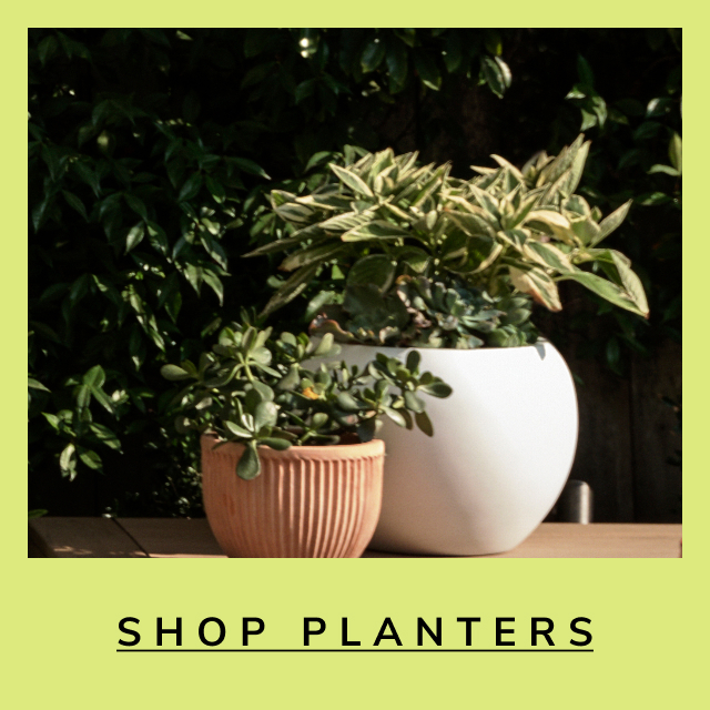 Save on Planters