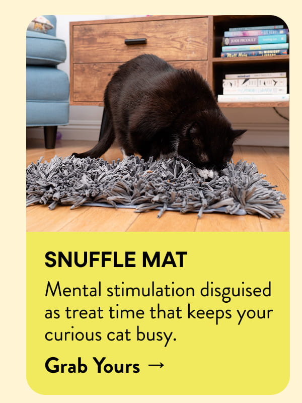 Snuffle Mat