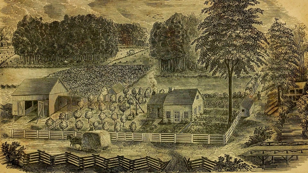 Illustration of a pioneer homestead with multiple land improvements