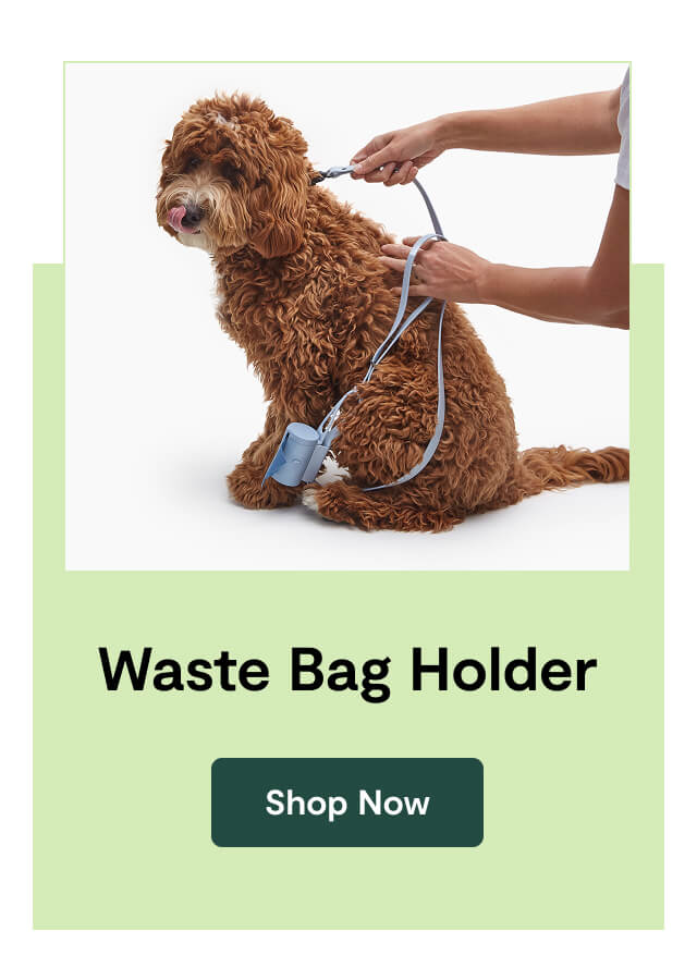 Waste Bag Holder