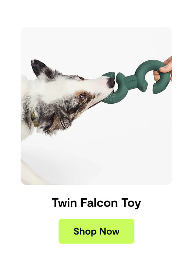 Twin Falcon Toy