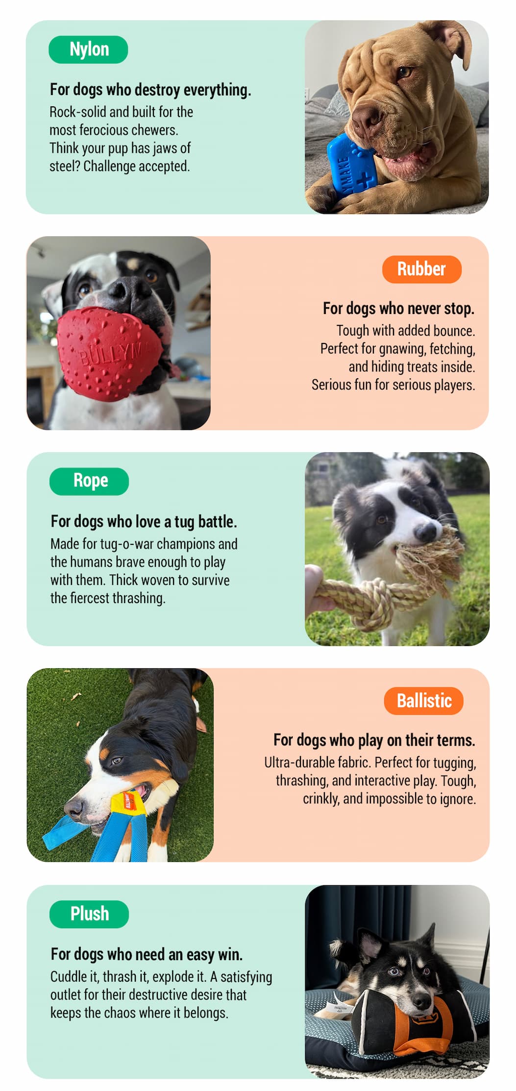 Bullymake Dog Toy Subscription Box