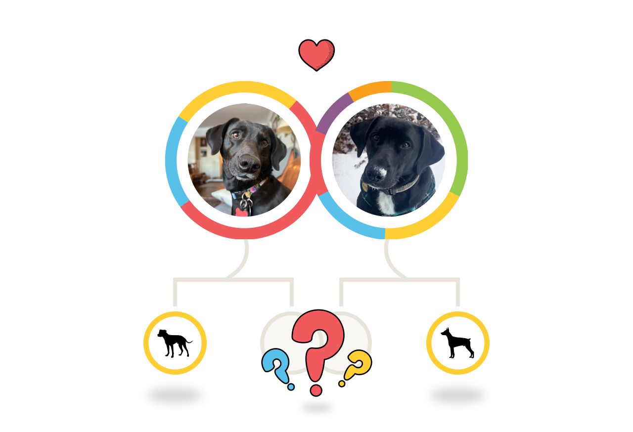 Read Maggie and Murphy's story