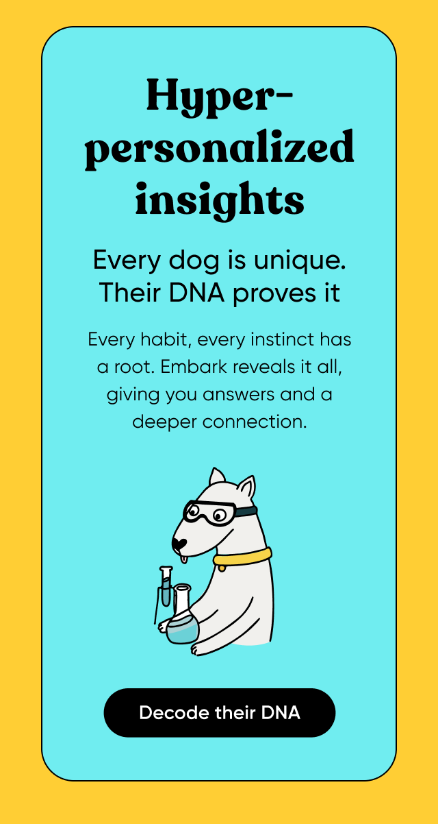 Hyper-personalization insights. Every dog is unique. Their DNA proves it. Every habit. every instinct has a root. Embark reveals it all, giving you answers and a deeper connection. Decode their DNA.
