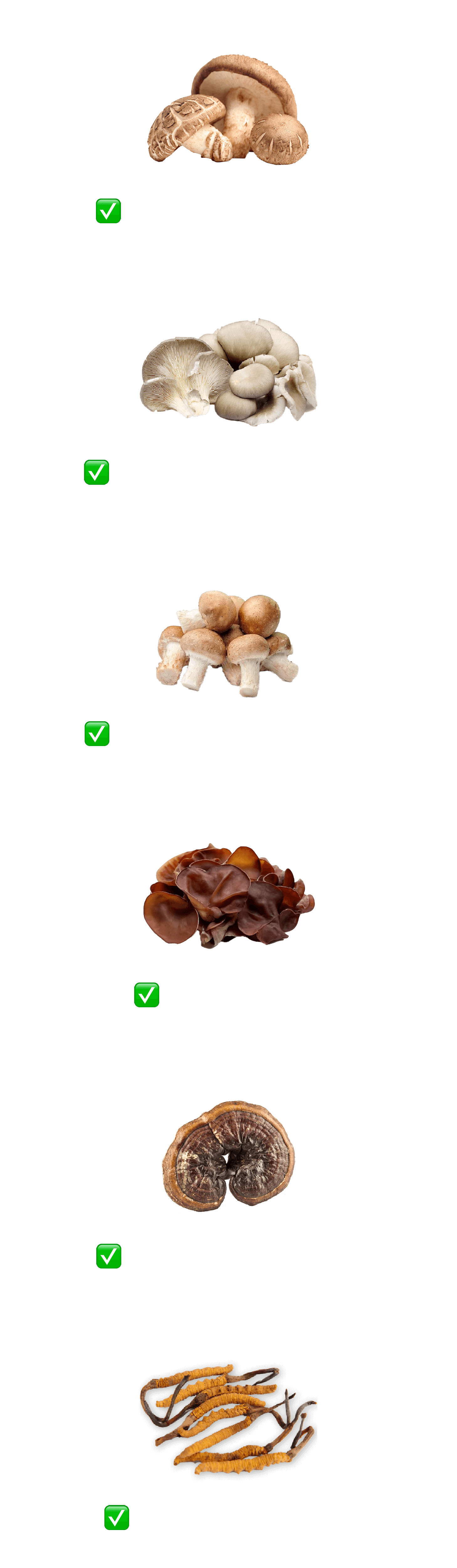6 Mushrooms