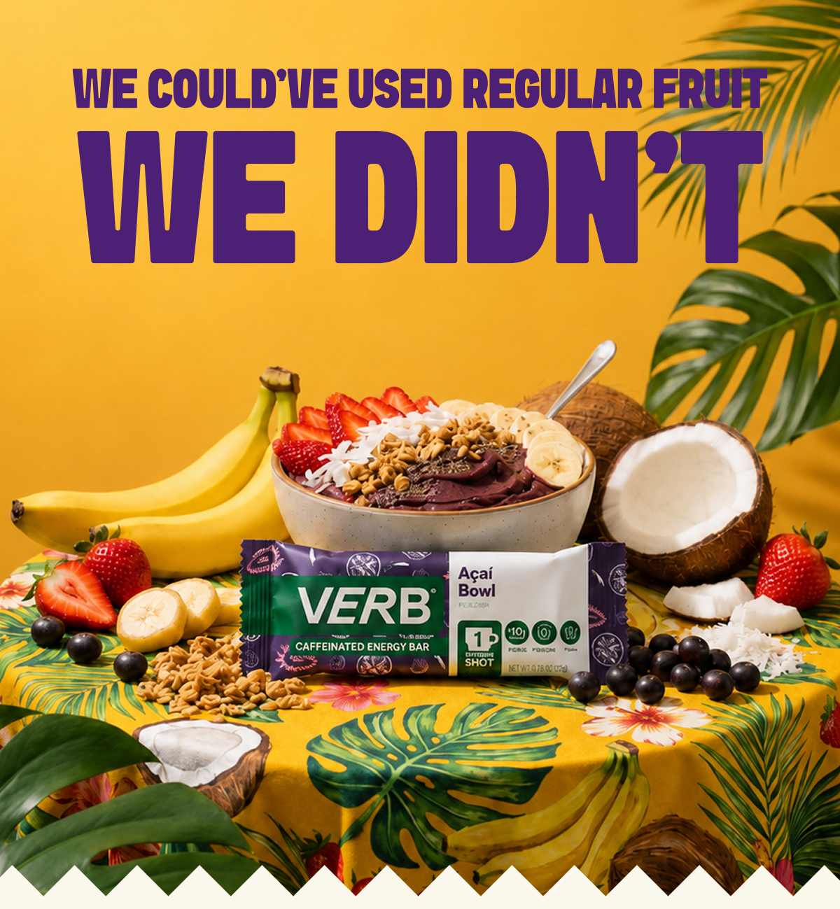 WE COULD'VE USED REGULAR FRUIT. WE DIDN'T