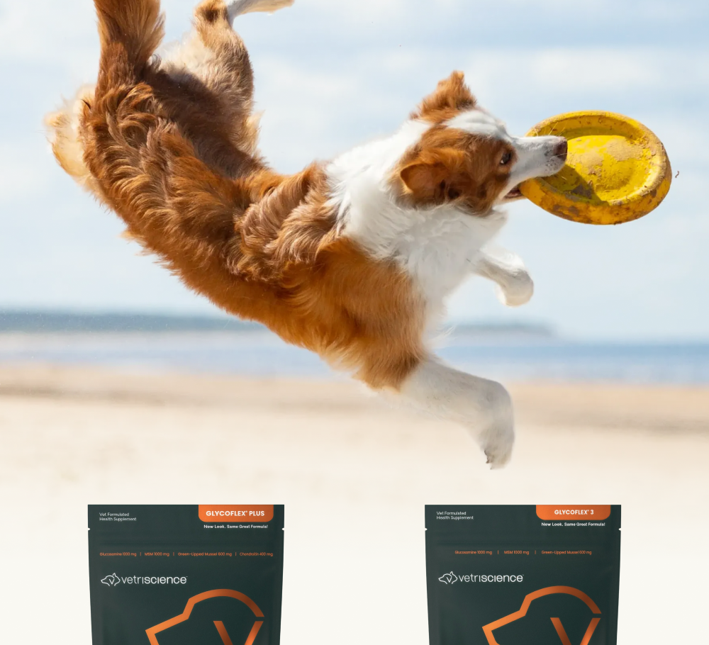 Joint Health Backed By Nature [ try it now ]