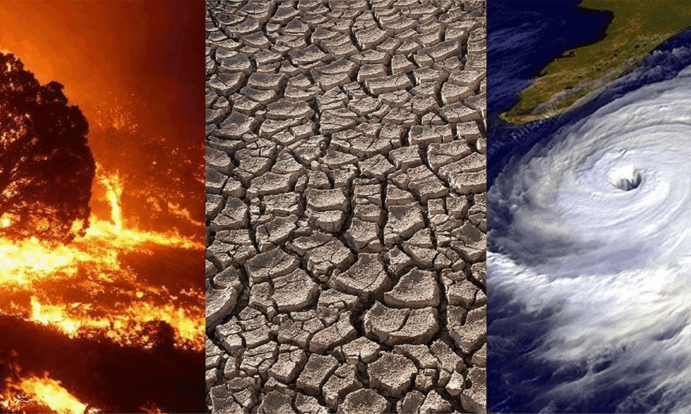 UCS Blog header with various different climate elements.