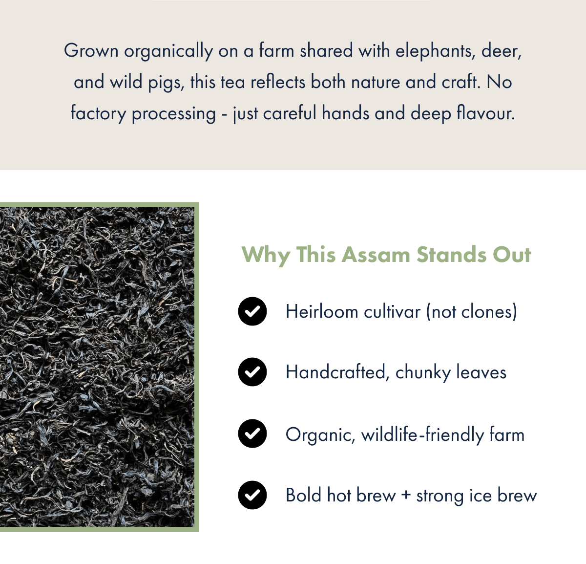 Grown organically on a farm shared with elephants, deer, and wild pigs, this tea reflects both nature and craft. No factory processing - just careful hands and deep flavour. Why This Assam Stands Out Heirloom cultivar (not clones) Handcrafted, chunky leaves Organic, wildlife-friendly farm Bold hot brew + strong ice brew