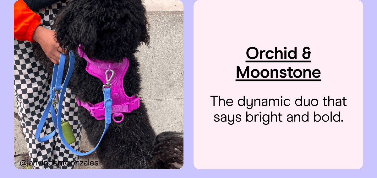 Orchid & Moonstone The dynamic duo that says bright and bold.