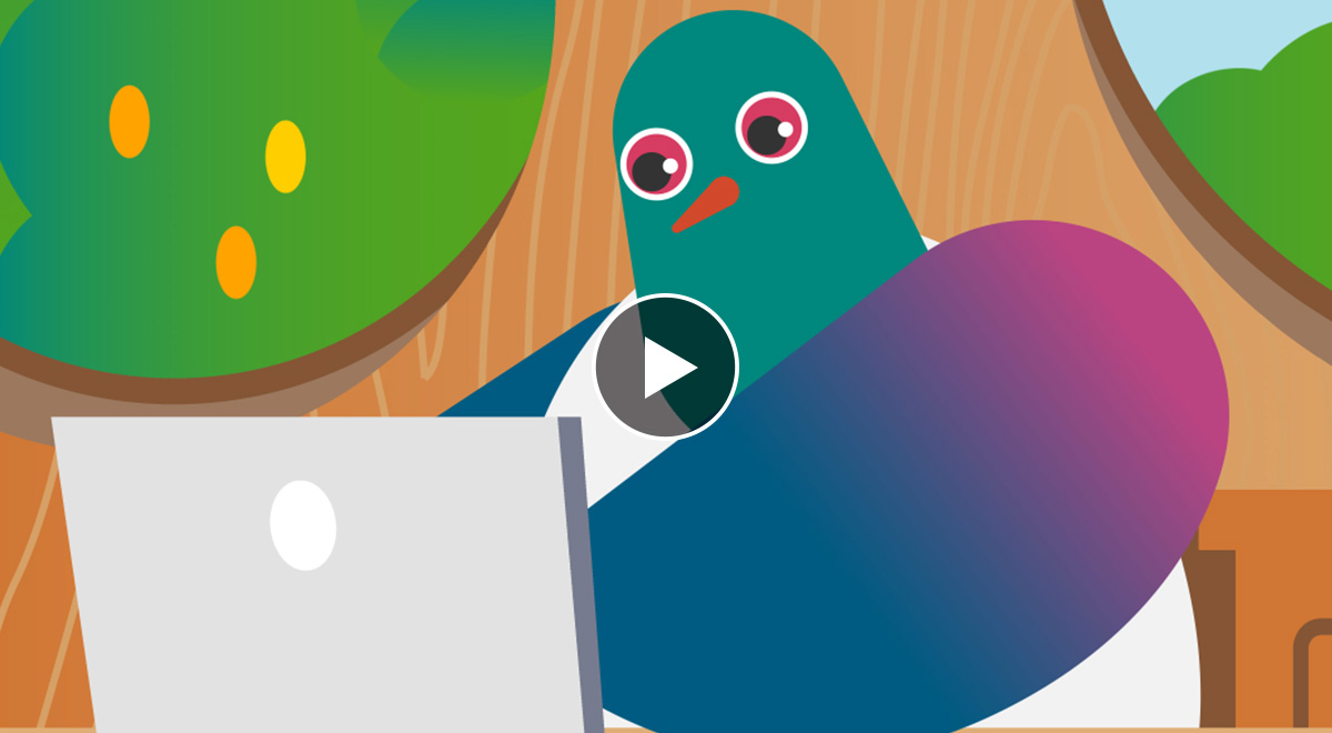 Watch Video