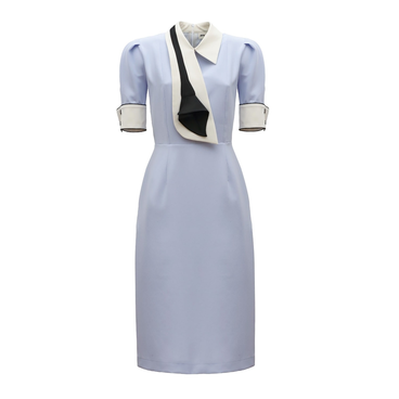 Formal Fitted Dress