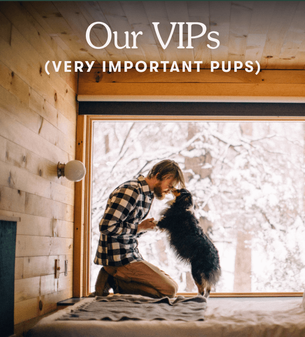 Our VIPs