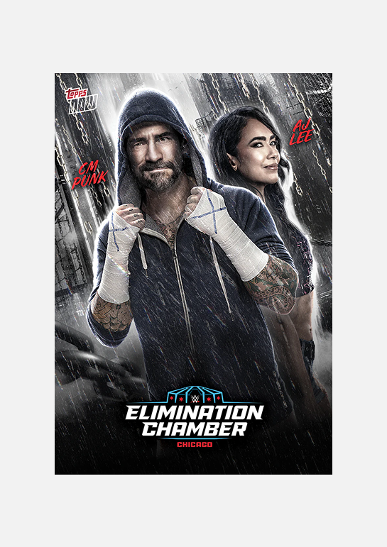 WWE Topps NOW