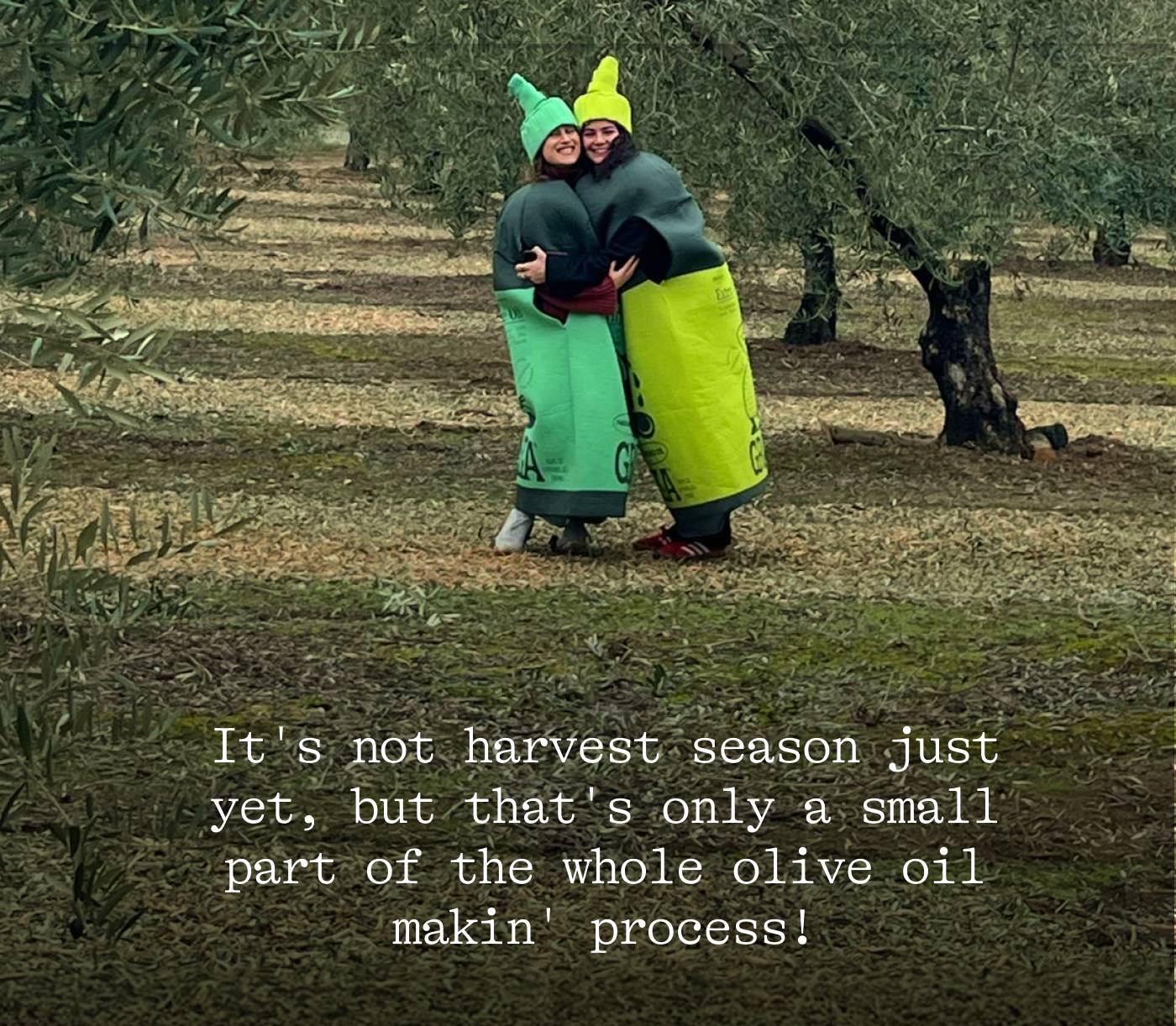 It's not the harvest season just yet, but that's only a small part of the whole olive oil makin' process!