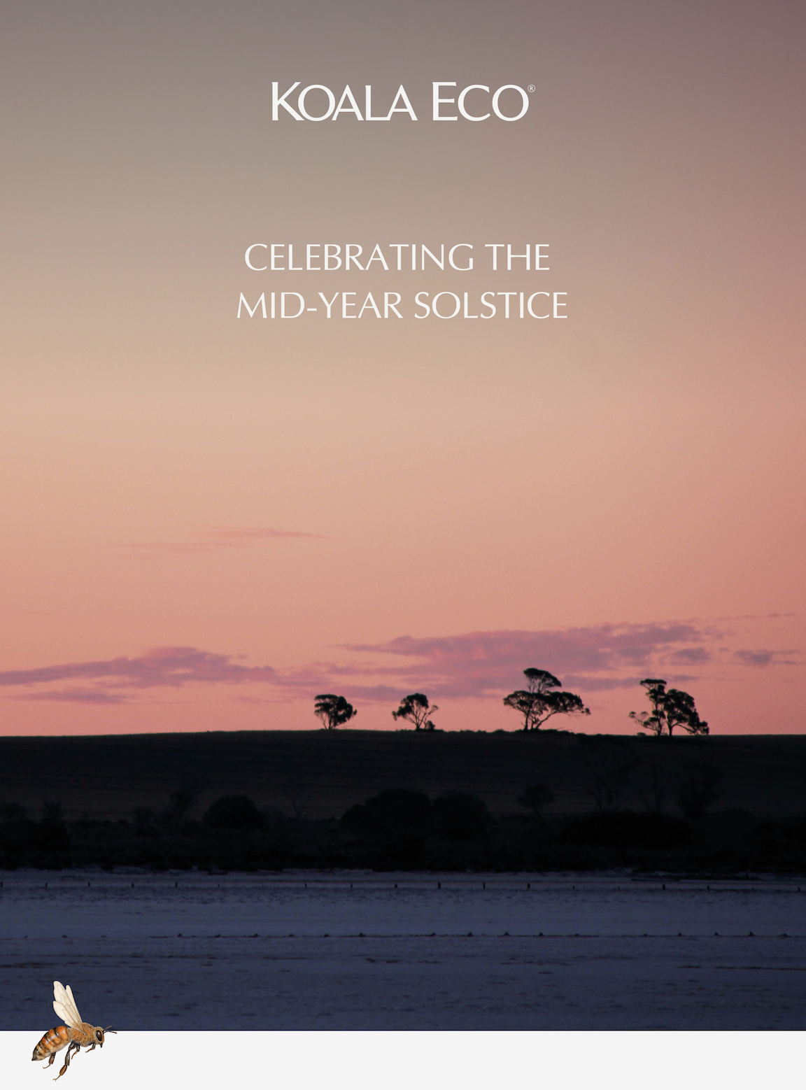 Koala Eco: Celebrating The Mid-year Solstice