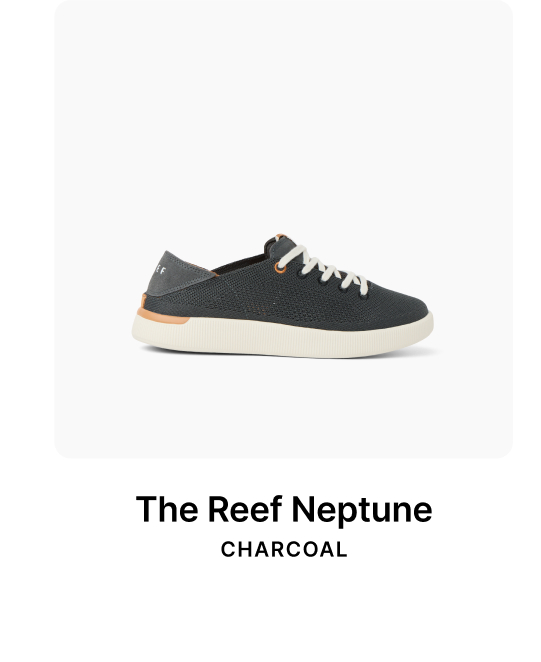 Neptune Charcoal