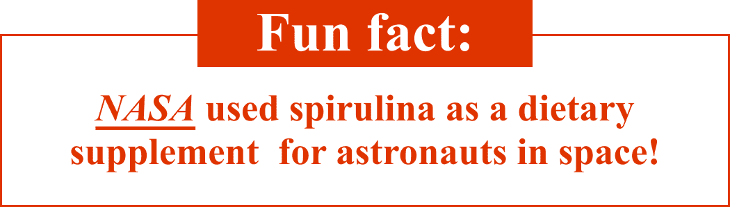 Fun fact: