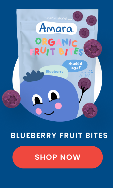 Blueberry Fruit Bites