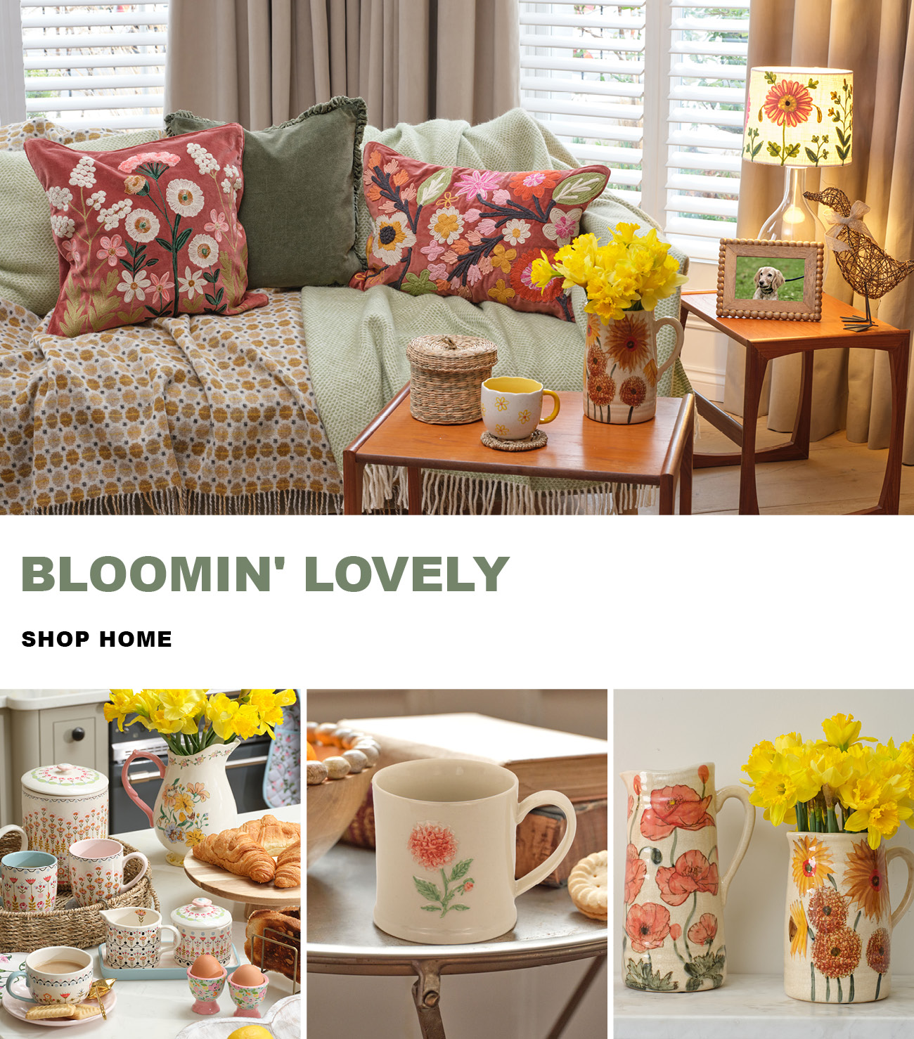 Shop Home