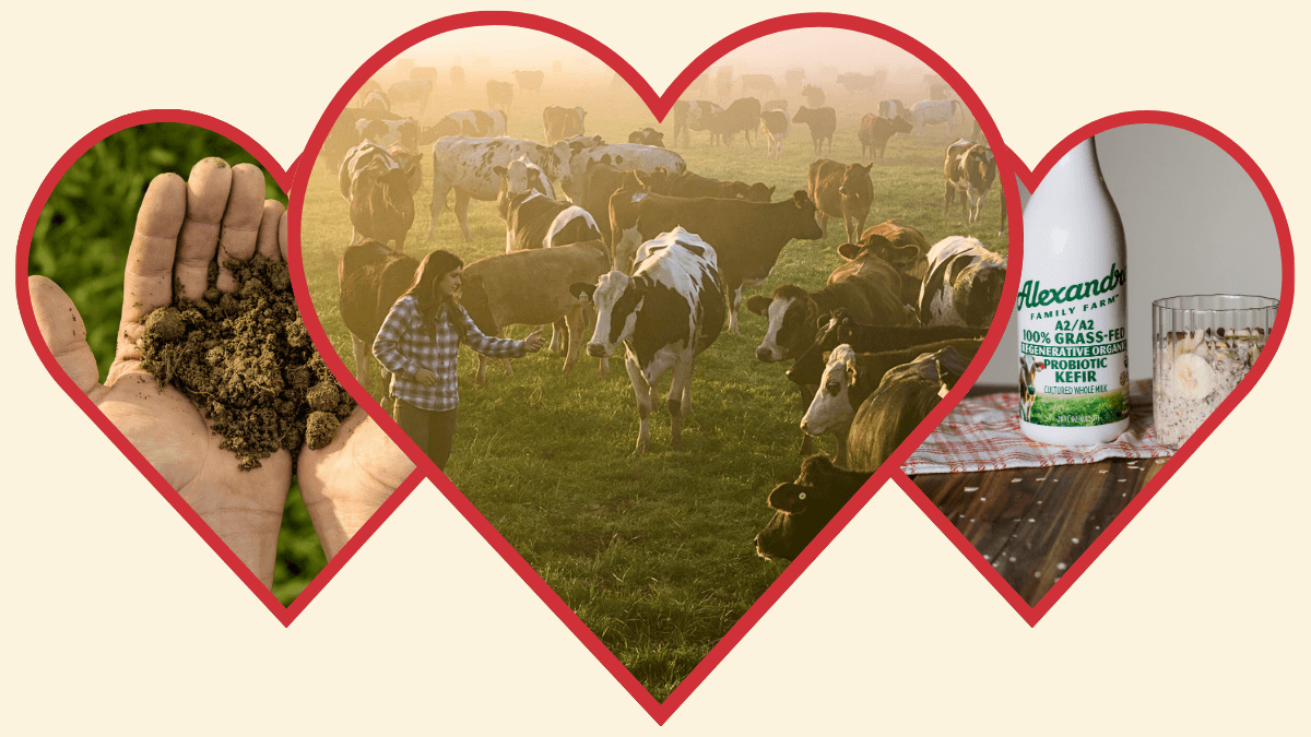 For the Love of Dairy Section Image