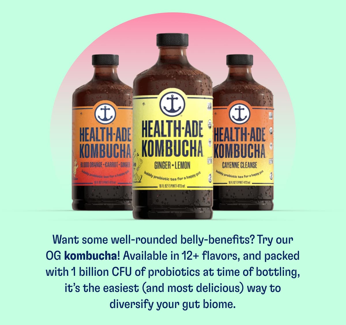 Kombucha in Bottles