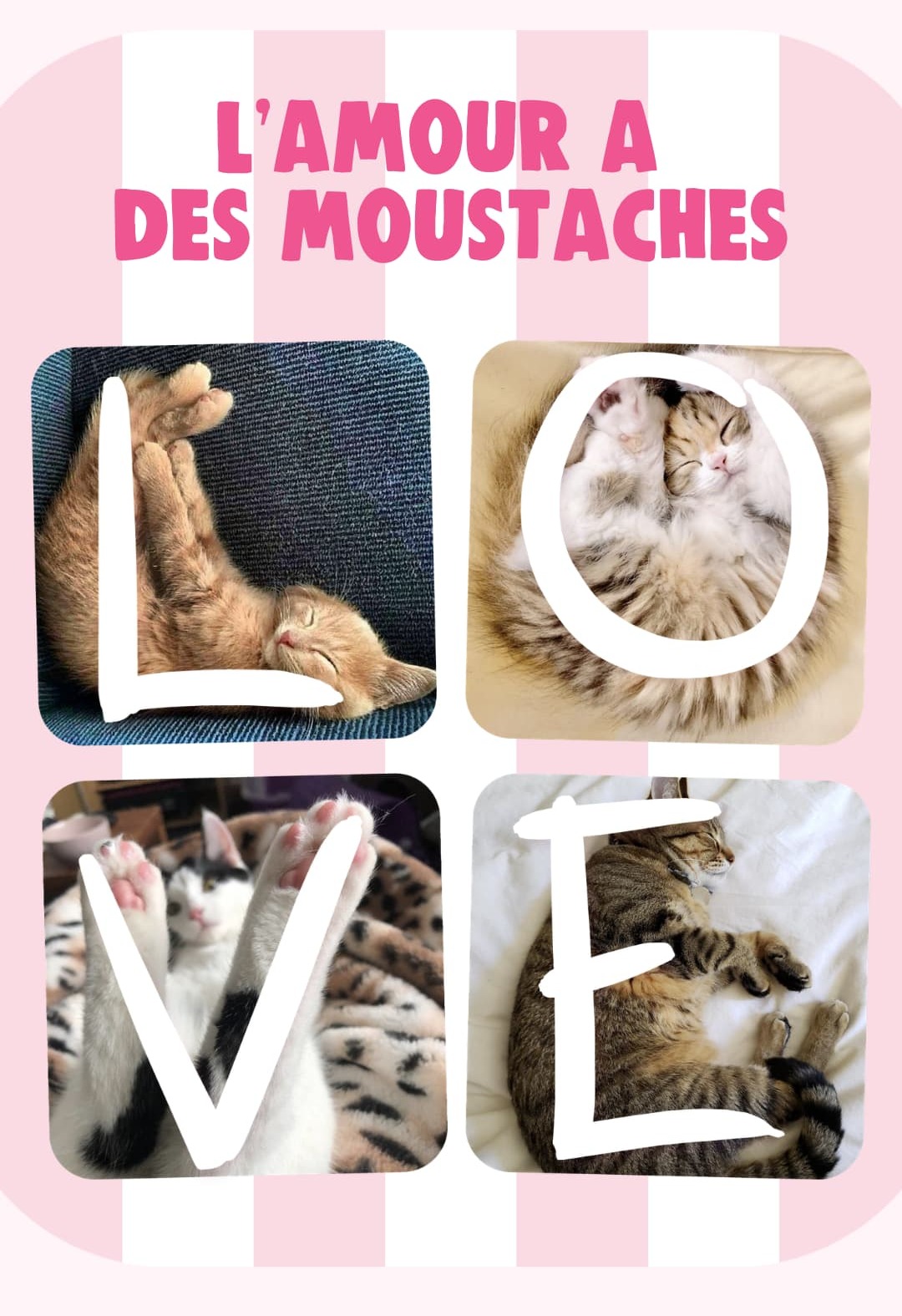 Love Cat