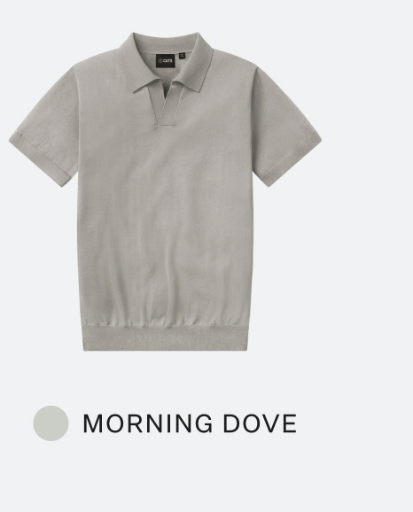 Morning Dove