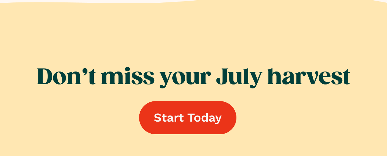 [ Start Today ]