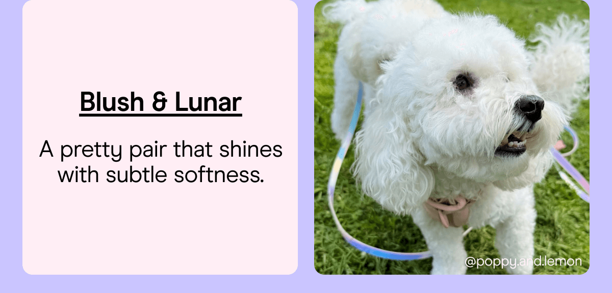 Blush & Lunar A pretty pair that shines with subtle softness.