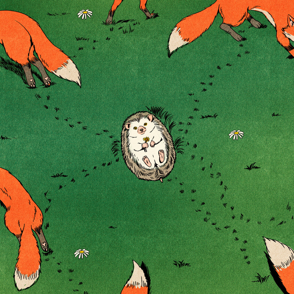 An illustration shows a hedgehog lying in a field. Foxes are on the outskirts of the image.