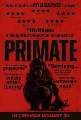 Primate
