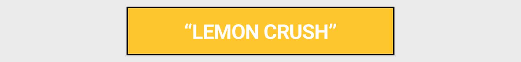 GHOST® HYDRATION STICKS "LEMON CRUSH"