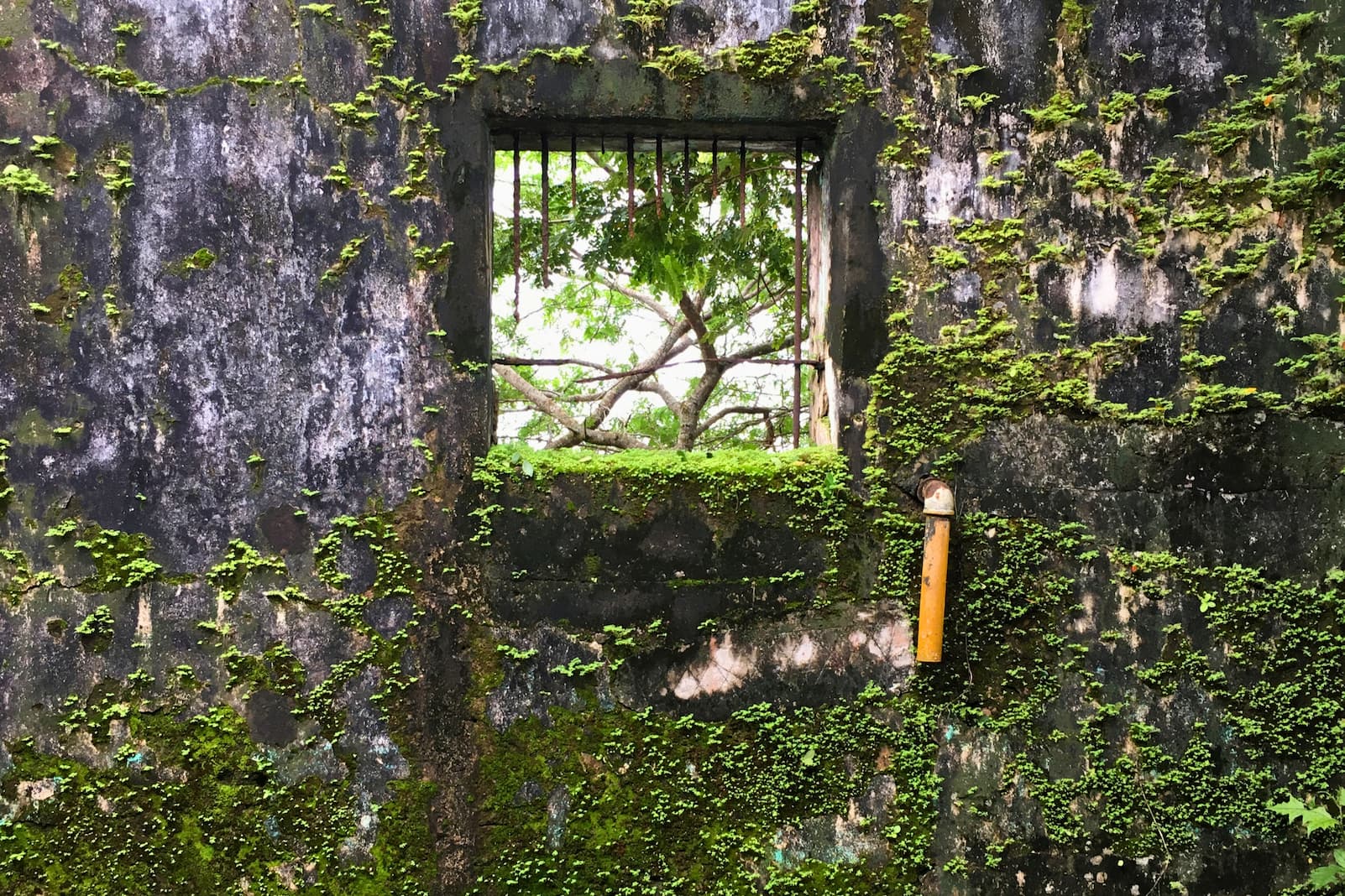 Click to See It