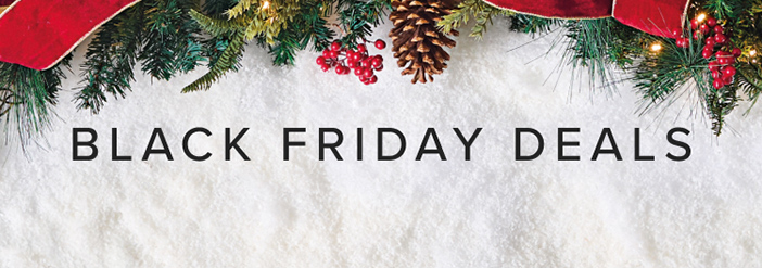 Black Friday Savings