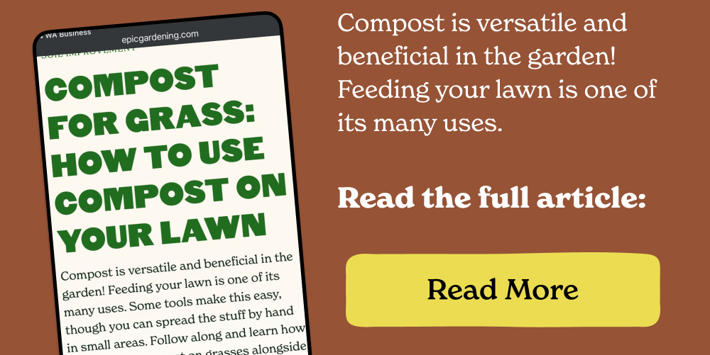 Compost is versatile and beneficial in the garden! Feeding your lawn is one of its many uses.   Read the full article: