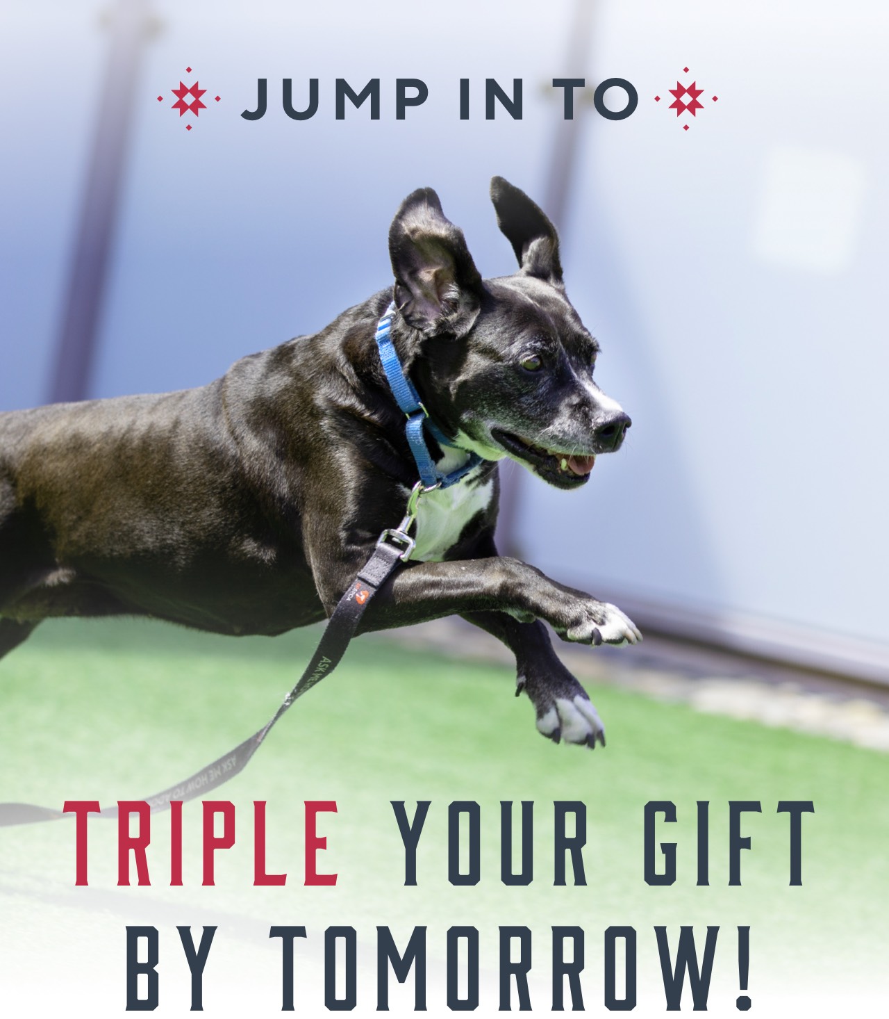 Jump in to TRIPLE Your Gift by Tomorrow!