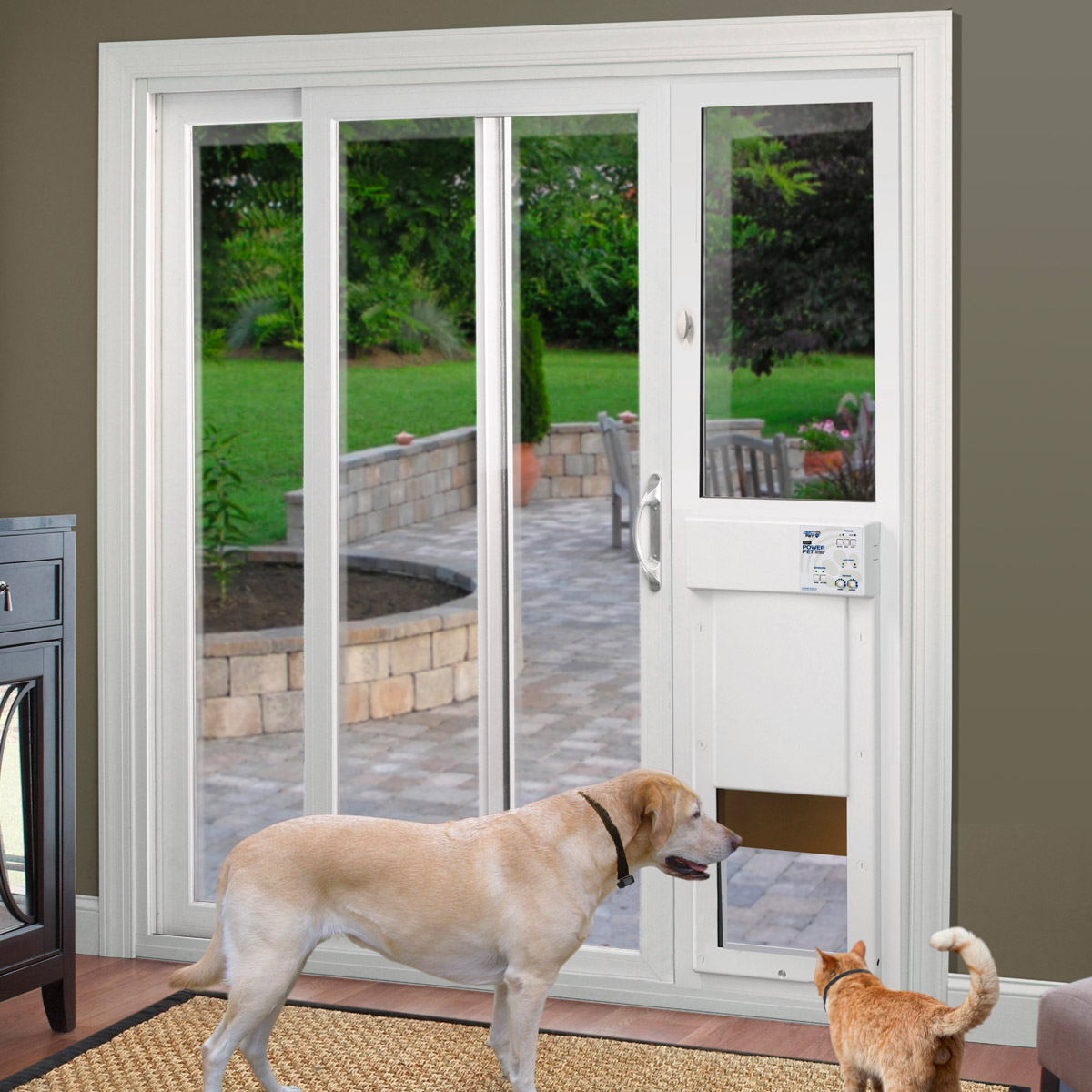 Manual and Powered Pet Doors