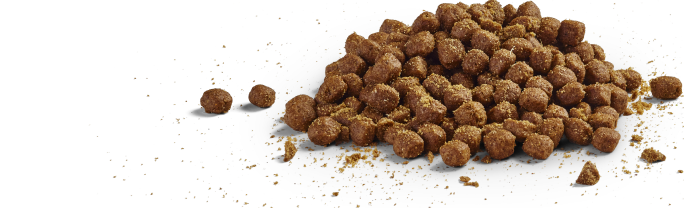 Kibble