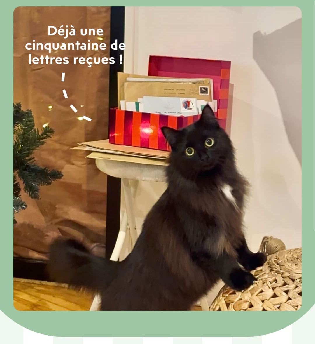 Céline, petit lutin du Chachat Noël