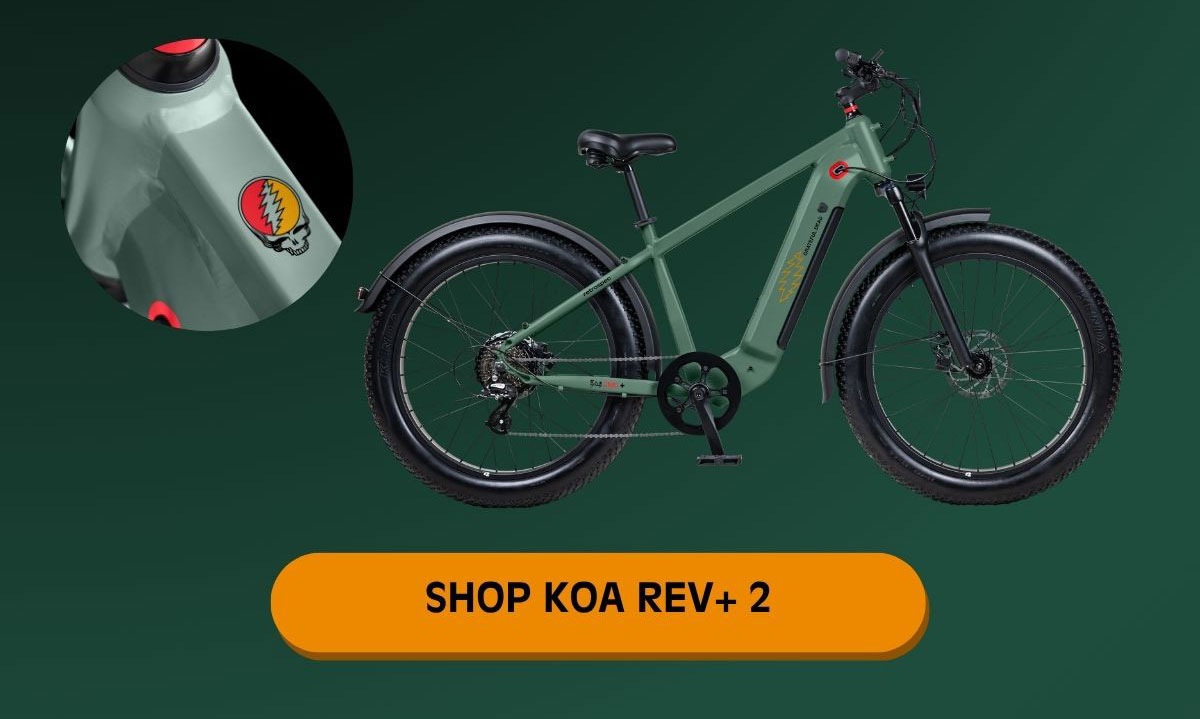 Shop Koa Rev+ 2