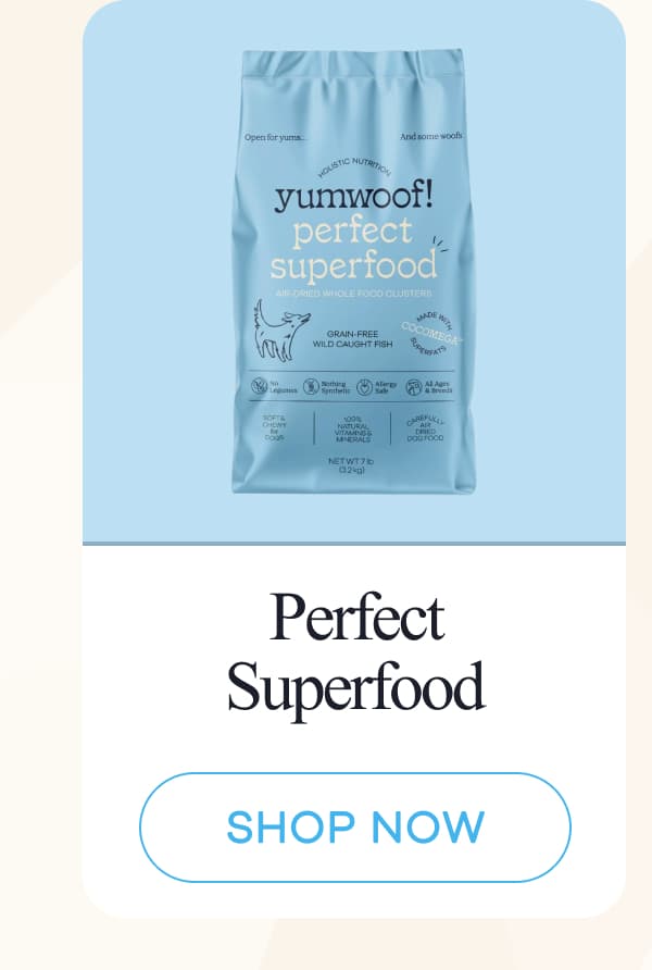 Perfect Superfood | shop now