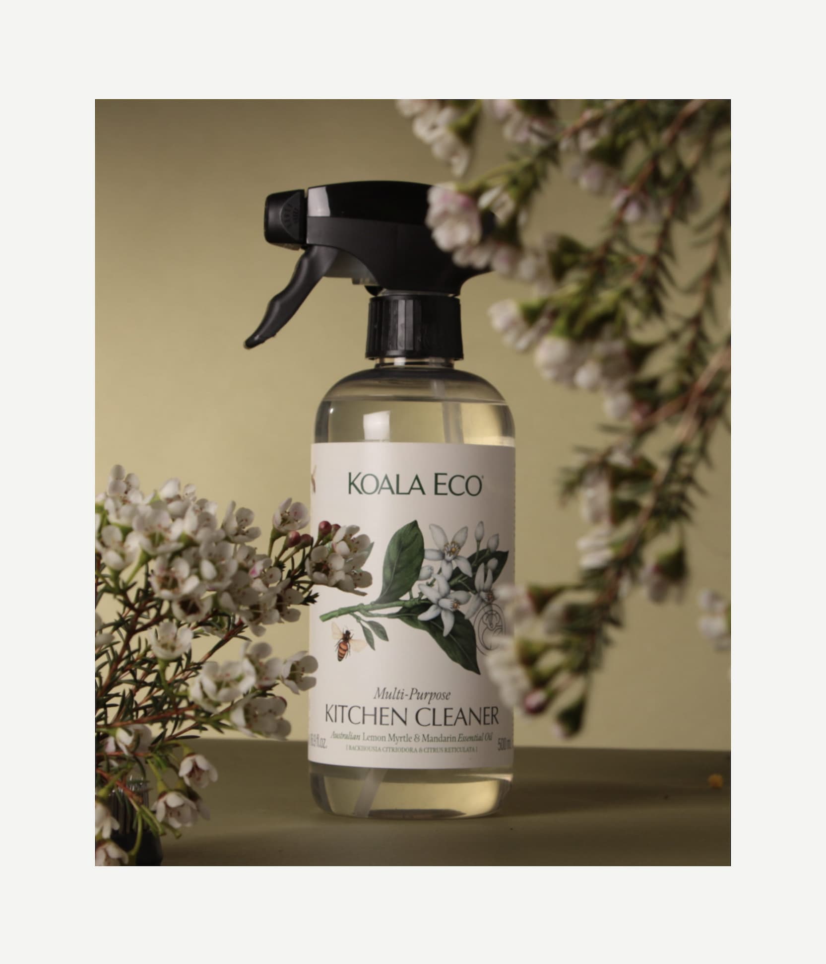 Kitchen Cleaner