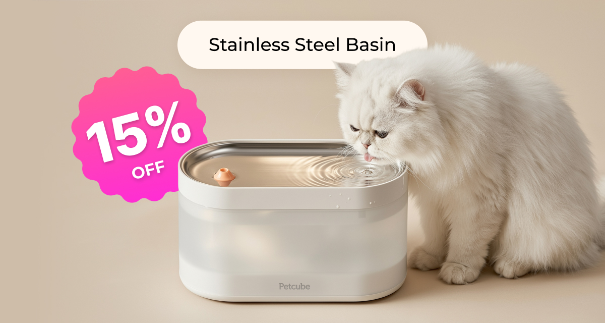 Stainless Steel Basin
