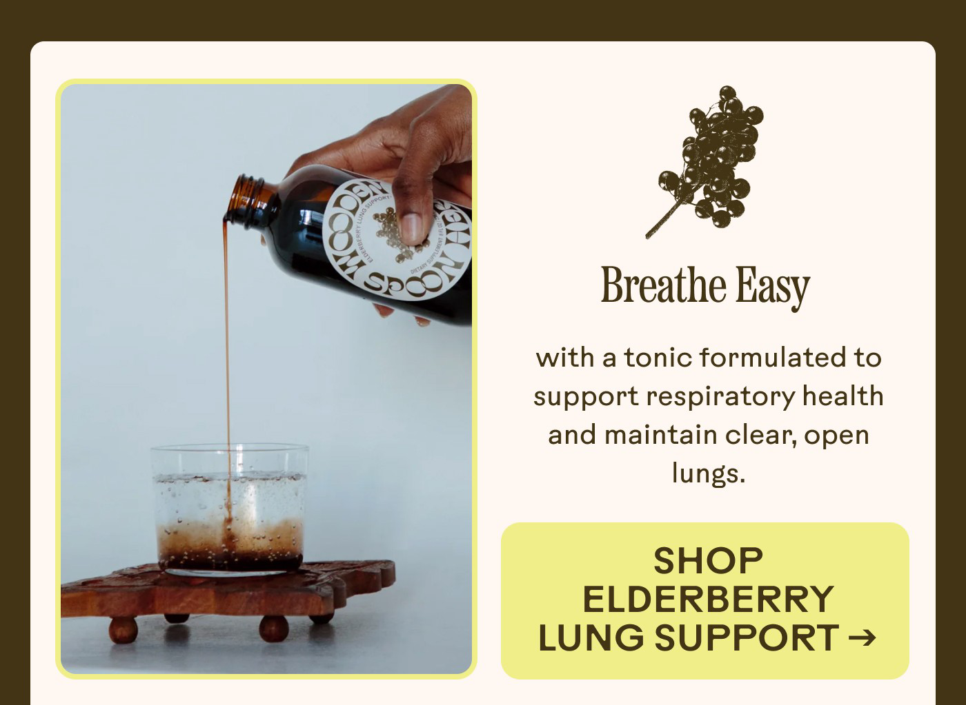 Breathe Easy with a tonic formulated to support respiratory health and maintain clear, open lungs. | Shop Elderberry Lung Support
