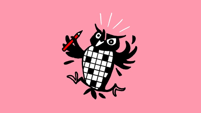 An owl with a crossword on its belly screams and runs against a pink background.