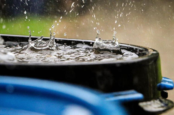 rain in a rain barrel